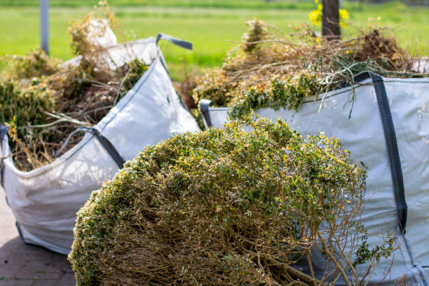Best Hoarding Cleanup  in South Sarasota, FL